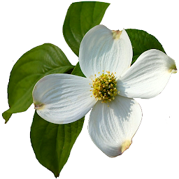 Icon image Virginia Wildflowers