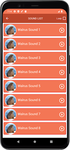 Walrus Sounds Screen 3