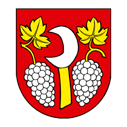 Borová logo