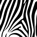 Zebra One Gallery - Contemporary Art For Sale Apk