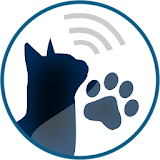 Human to cat sounds Translator icon