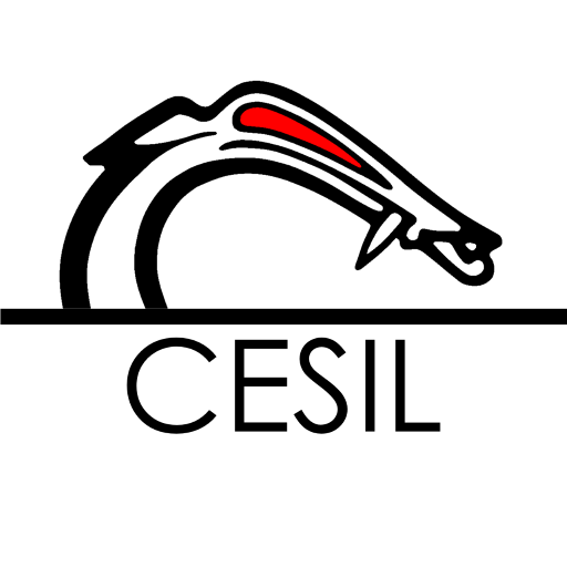 Wyrm CESIL logo