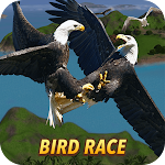 Cover Image of Télécharger Bird Race 0.2 APK
