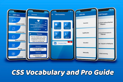 CSS Vocabulary- Pro Guide