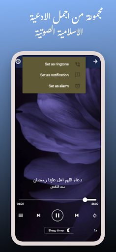 القران محمد الليثى بدون نت