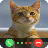 Call From Little Cat icon