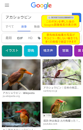 野鳥検索図鑑