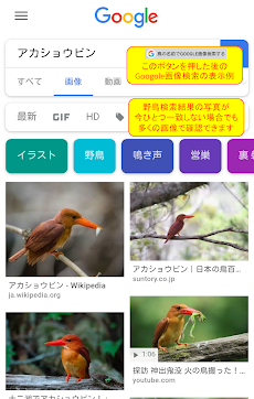 野鳥検索図鑑のおすすめ画像5