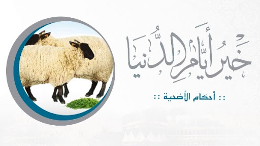 احكام الأضحية Screen 3