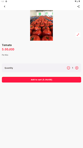 Avomango Trading Screen 2