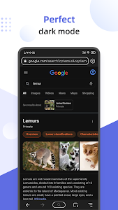Lemur Browser - extensions Unknown