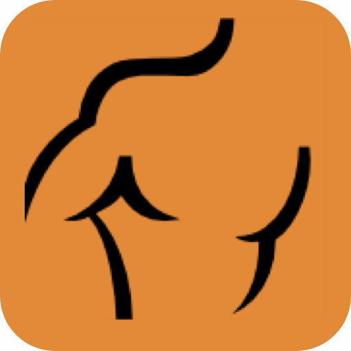 BaslFitness logo