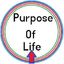Icon image purpose of life and death book
