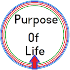purpose of life and death book logo