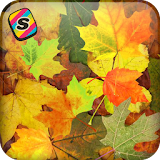 [Shake]Autumn Leaves Wallpaper icon