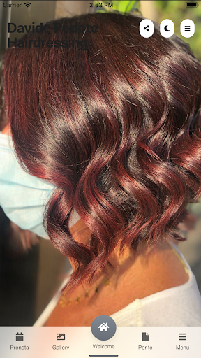 Davide Pedote Hairdressing Screen 2