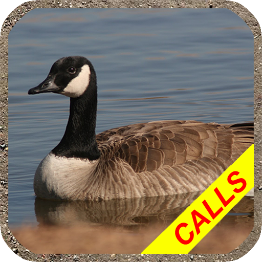 Goose hunting calls Pro. Water 1.7 Icon