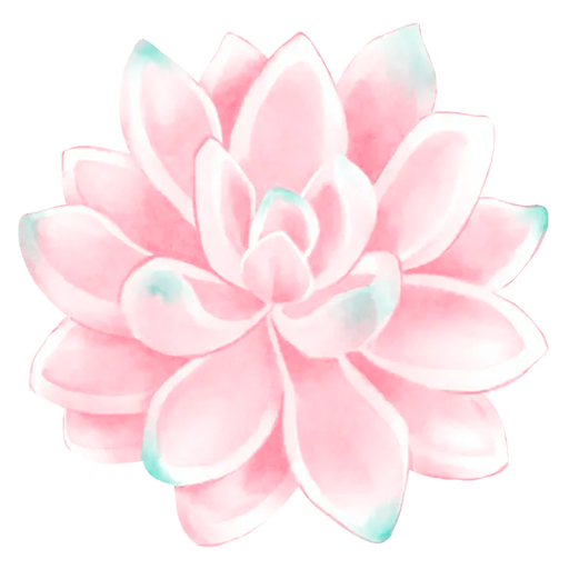 Florist EnFlores
