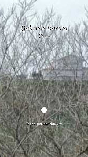 Android application Gabriele Carota screenshort