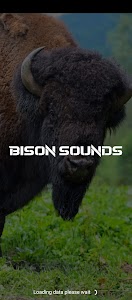 Bison sounds Unknown