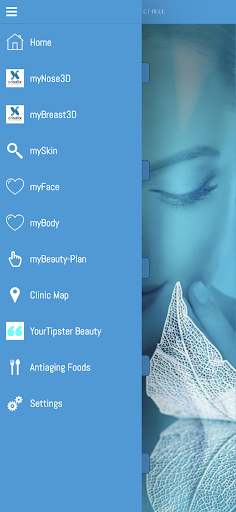 Beauty-Planner by Perfect-Blue Screen 2