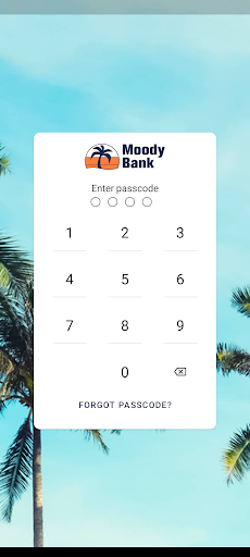 Android application Moody National Bank screenshort