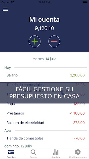 Vista previa de la aplicación
