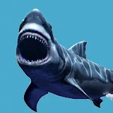 Shark  Jaws Attack Game icon