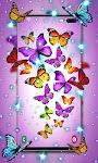 screenshot of Butterfly Wallpaper