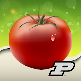 Purdue Tomato Doctor icon