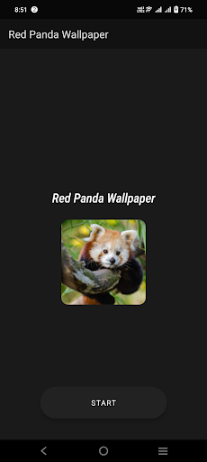 Red Panda Wallpaper Screen 2
