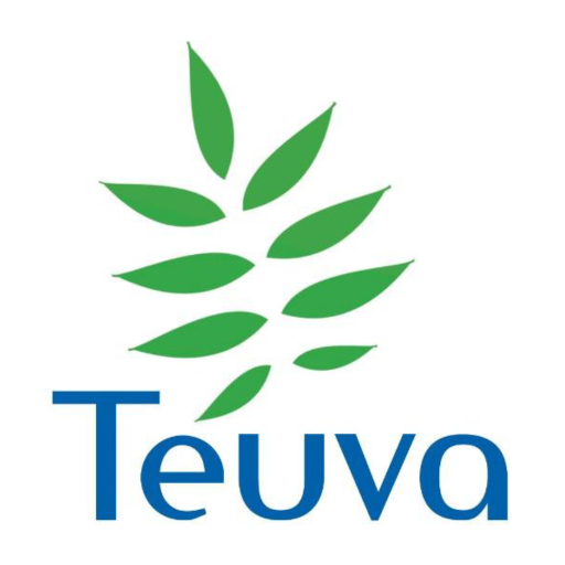 Teuva logo