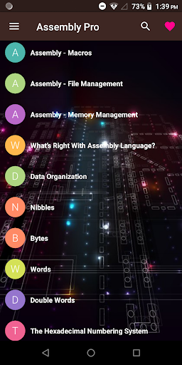 Assembly Language Pro Screen 3
