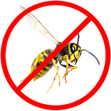 Wasp Repellent Prank icon