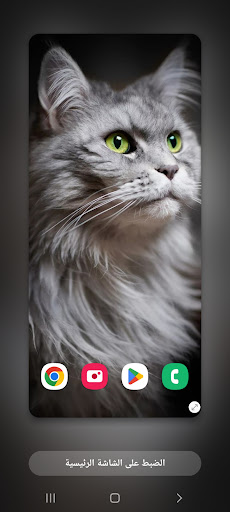 2022 Wallpapers Cot (1) 4k Screen 3