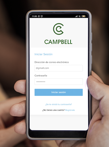 CAMPBELL Screen 2