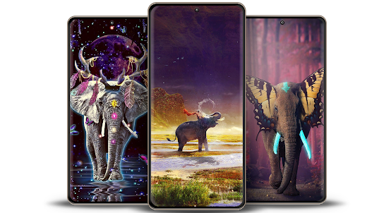 Elephant HD Wallpapers