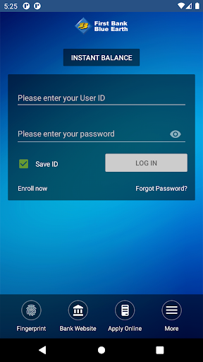 First Bank Blue Earth Screen 2