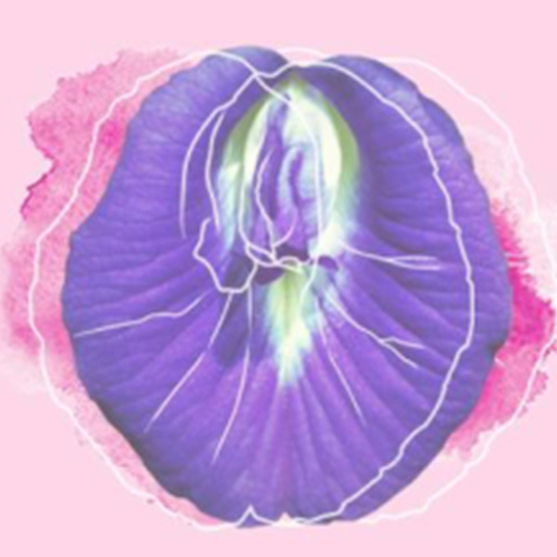Doc Ayn logo