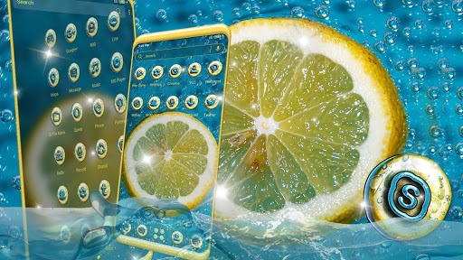 Meyer Lemon Theme Screen 2
