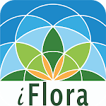 Cover Image of डाउनलोड iFlora - Flora von Deutschland  APK