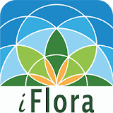 iFlora - Flora von Deutschland icon