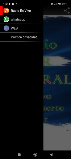 Android application Radio Sur Austral screenshort