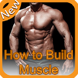 How to Build Muscule ? icon
