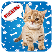 Cats and kittens stickers - WAStickerApps
