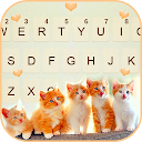 Cute Kittens Tastaturhintergrund 