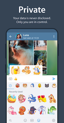 Telegram  APK screenshots 3