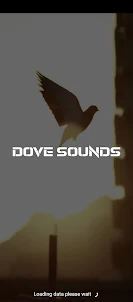 dove sounds