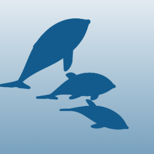 3 Dolphins Live Wallpaper logo