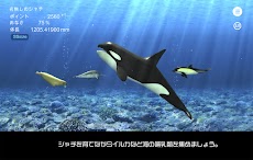 シャチ育成と海の哺乳類たちのおすすめ画像4